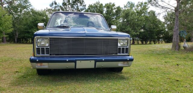 1981 BLUE/SILVER Chevrolet C-10 Standard Cab Pickup