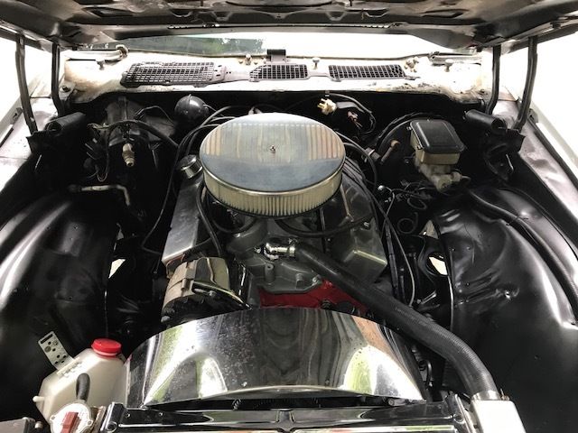 1981 White Chevrolet Camaro Coupe