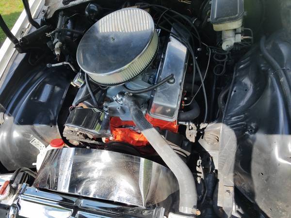 1981 White Chevrolet Camaro Coupe