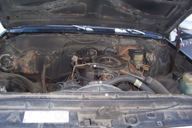 1981 Black Chevrolet C-10 Standard Cab Pickup