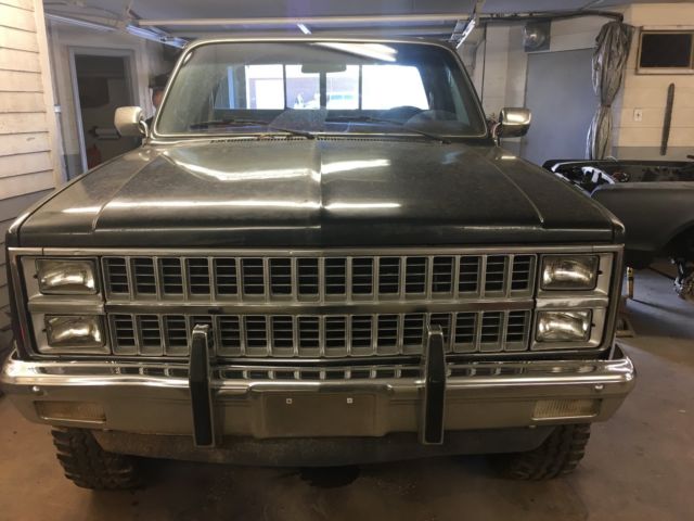 1981 Black Chevrolet C/K Pickup 1500 Standard Cab Pickup