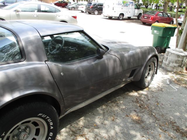 1981 Gray Chevrolet Corvette