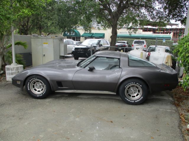 1981 Gray Chevrolet Corvette