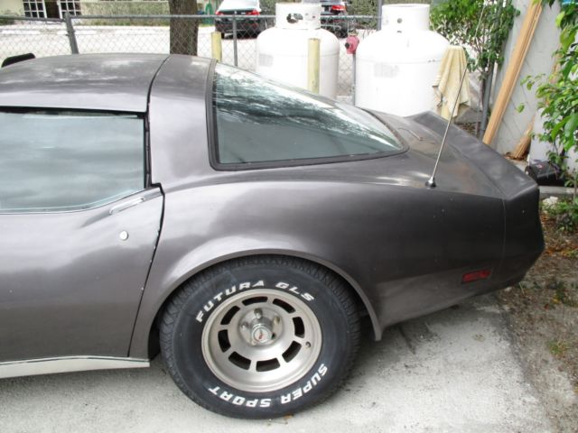 1981 Gray Chevrolet Corvette