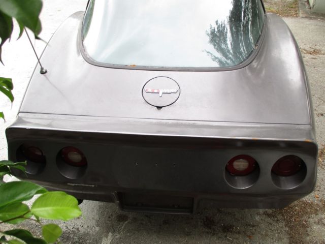 1981 Gray Chevrolet Corvette