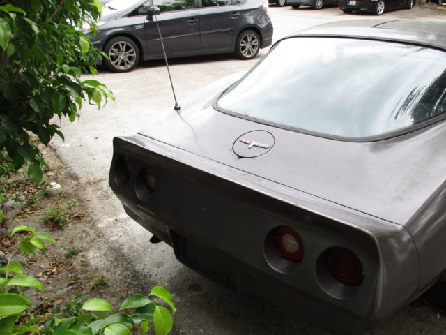 1981 Gray Chevrolet Corvette