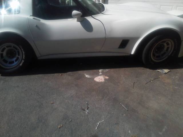 1981 White Chevrolet Corvette Coupe