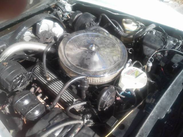 1981 White Chevrolet Corvette Coupe