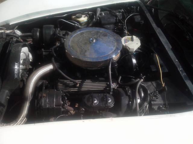 1981 White Chevrolet Corvette Coupe