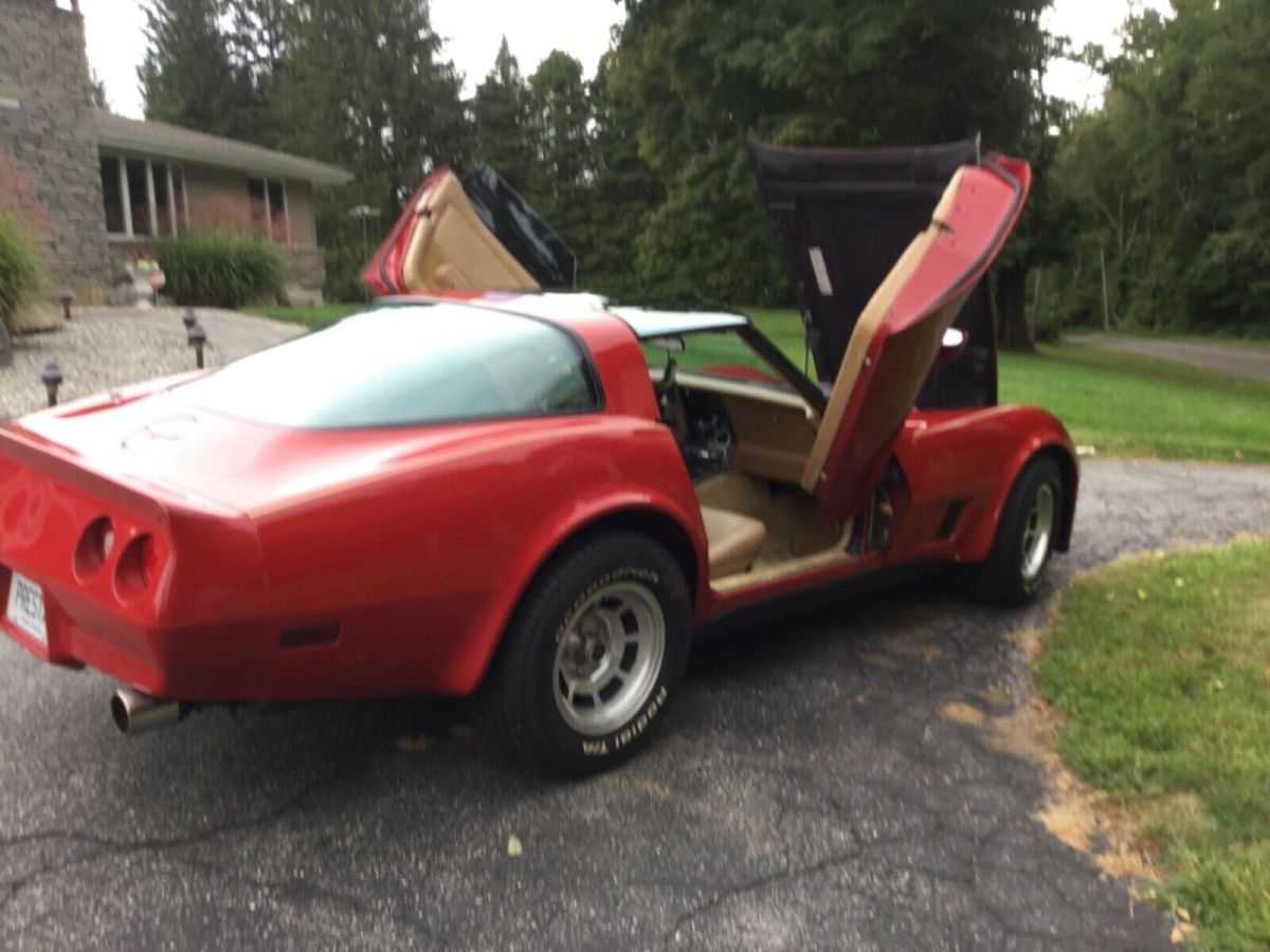 1981 Chevrolet Corvette Hatchback