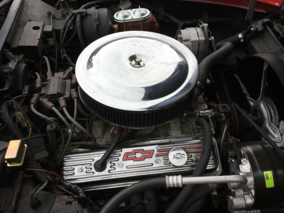 1981 Chevrolet Corvette Hatchback