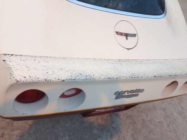 1981 Two tone tan/brown Chevrolet Corvette Coupe