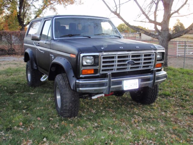 1981 Black / Black Ford Bronco