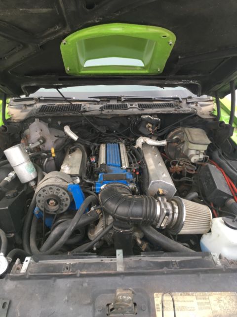 1981 Green Pontiac Firebird T-Top