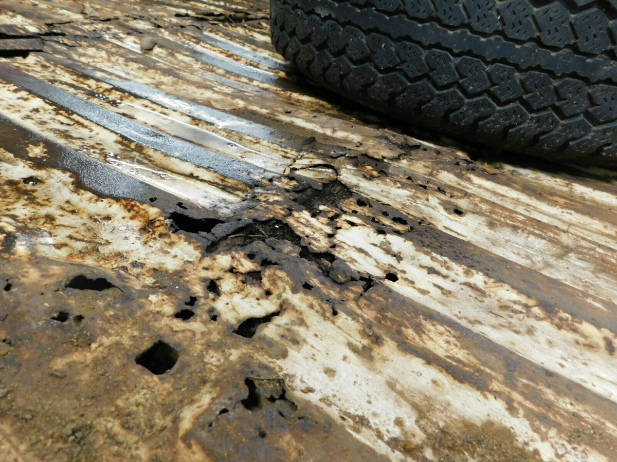 1981 White Ford F-250 Crew Cab Pickup