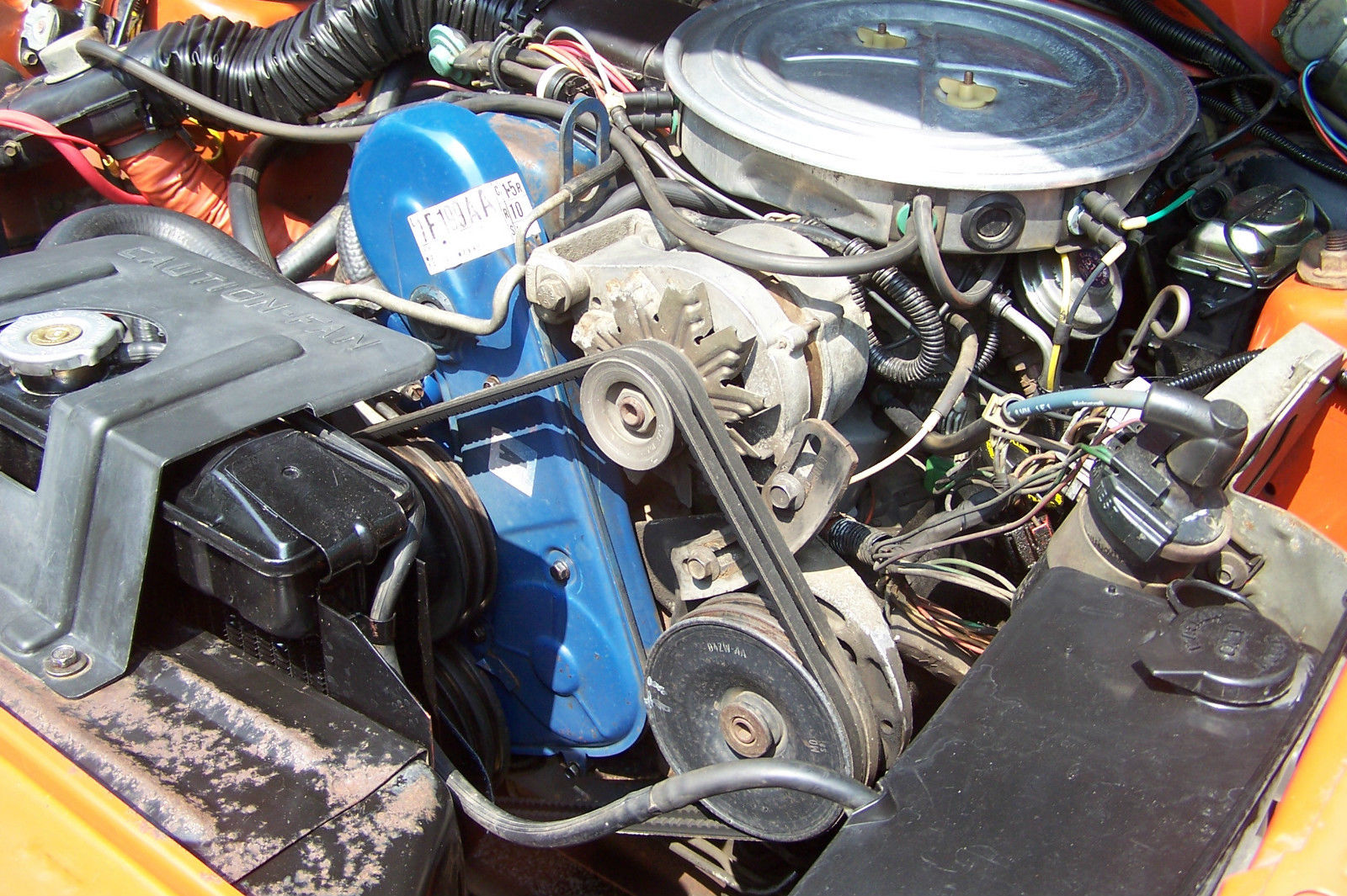 1981 Orange Ford Mustang Hatchback