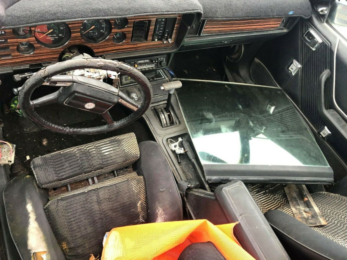 1981 Ford Mustang Coupe