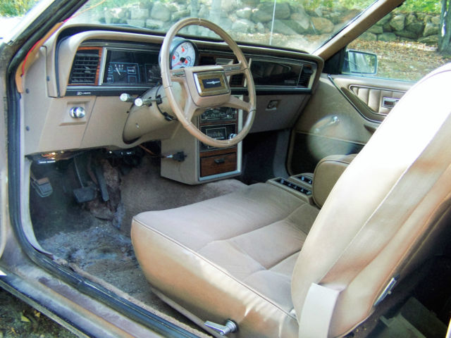 1981 flat black Ford Thunderbird