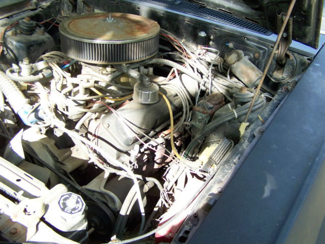 1981 flat black Ford Thunderbird