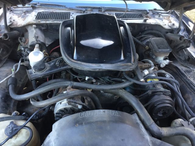 1981 Black Pontiac Trans Am Coupe