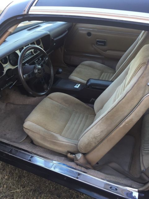 1981 Black Pontiac Trans Am Coupe