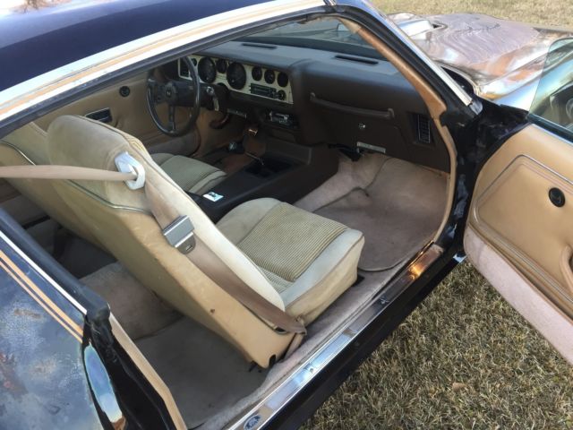 1981 Black Pontiac Trans Am Coupe