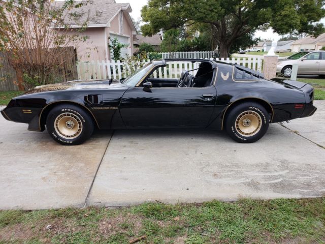 1981 Pontiac Trans Am Turbo SE Y84 W56 