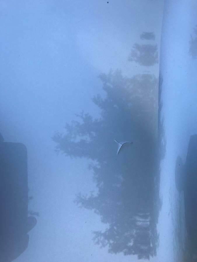 1981 Silver Chevrolet Corvette Coupe