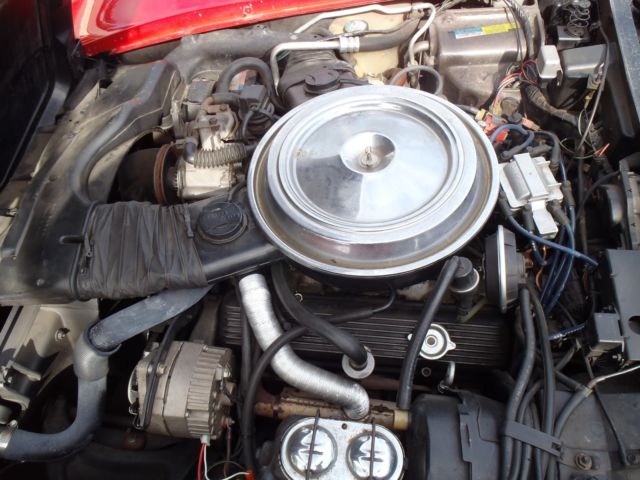 1981 Red Chevrolet Corvette T- Top Coupe