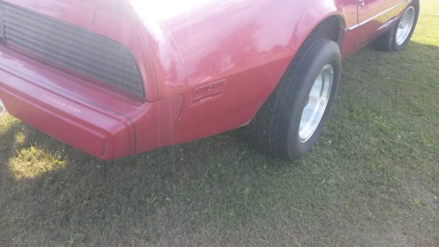 1981 Pontiac Trans Am