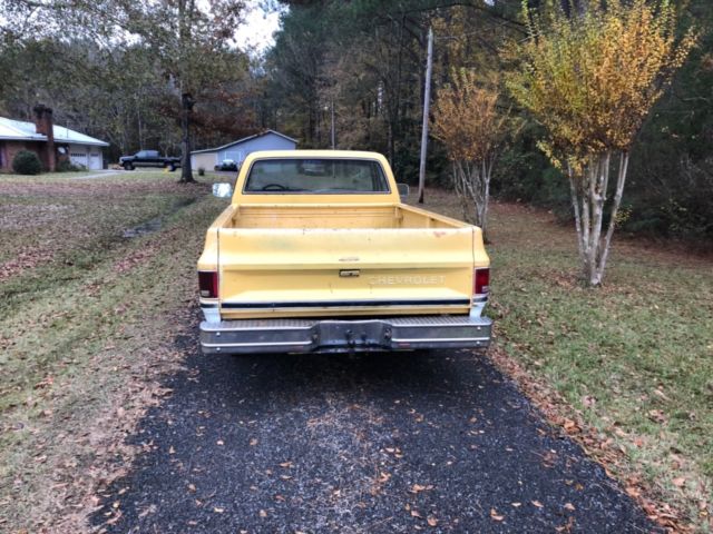 1981 Yellow Chevrolet C-10 Cab & Chassis