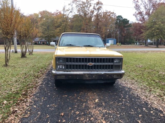 1981 Yellow Chevrolet C-10 Cab & Chassis