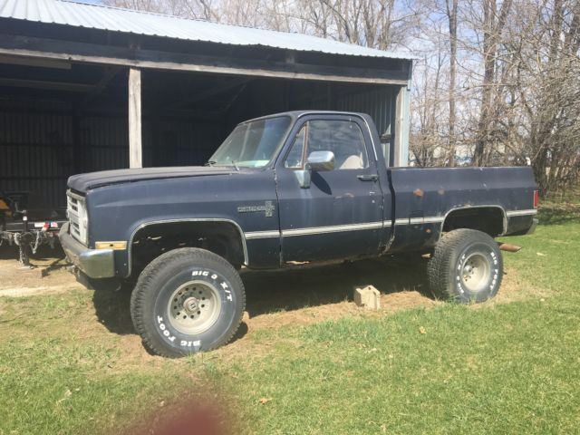 1981 Blue Chevrolet Other Pickups Standard Cab Pickup