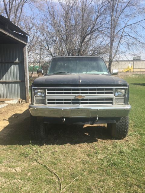 1981 Blue Chevrolet Other Pickups Standard Cab Pickup