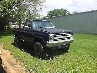 1981 Blue Chevrolet Other Pickups Standard Cab Pickup