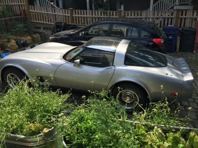 1981 Silver Chevrolet Corvette