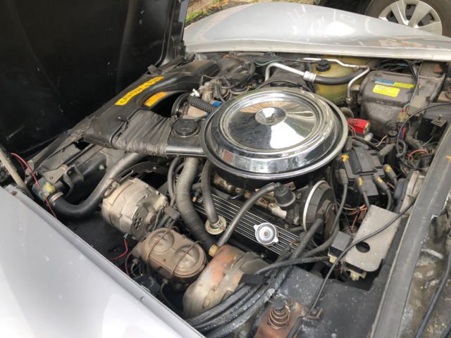 1981 Silver Chevrolet Corvette