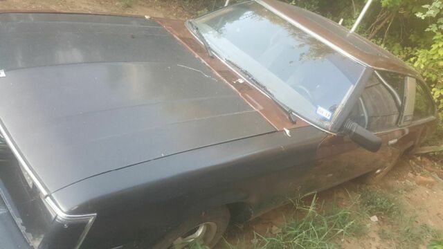 1981 Brown Toyota Celica Hatchback