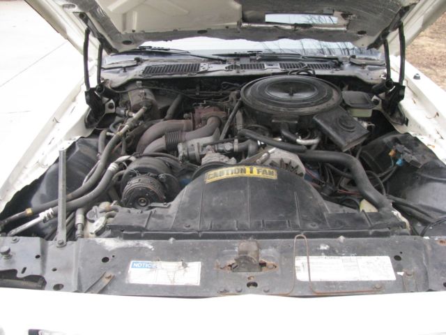 1981 White Pontiac Trans Am Coupe