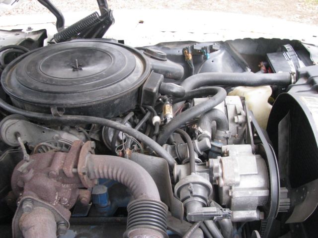 1981 White Pontiac Trans Am Coupe