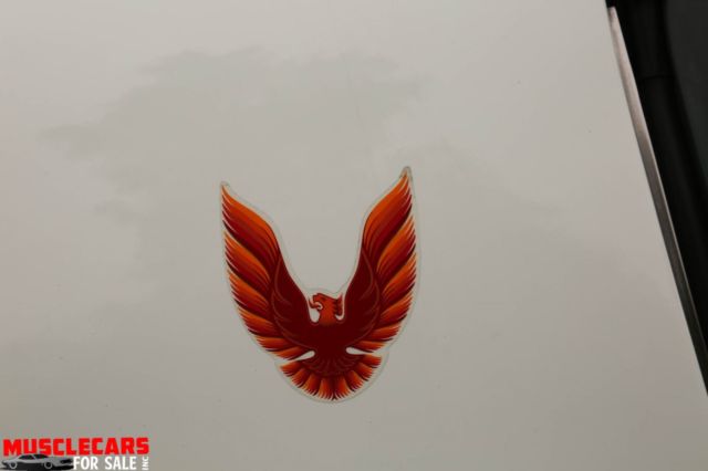 1981 White Pontiac Trans Am Coupe