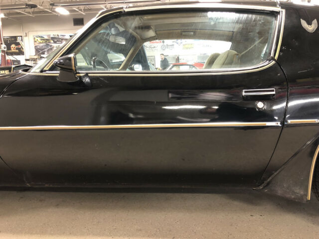 1981 Black Pontiac Trans Am Coupe