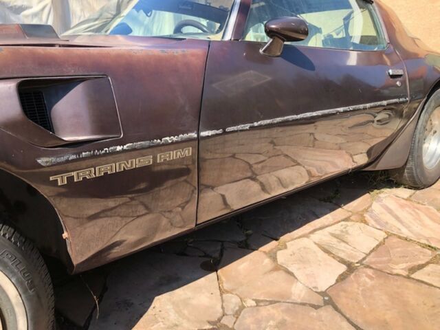 1981 Brown Pontiac Trans Am Coupe