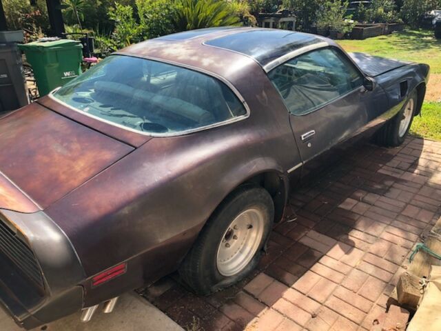 1981 Brown Pontiac Trans Am Coupe