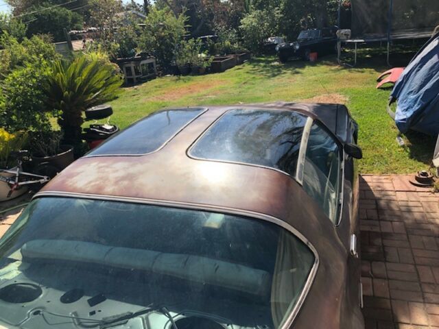 1981 Brown Pontiac Trans Am Coupe
