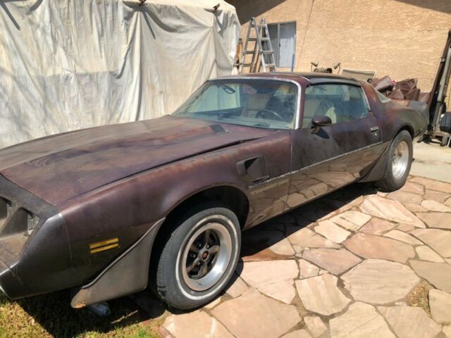 1981 Brown Pontiac Trans Am Coupe