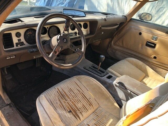 1981 Brown Pontiac Trans Am Coupe