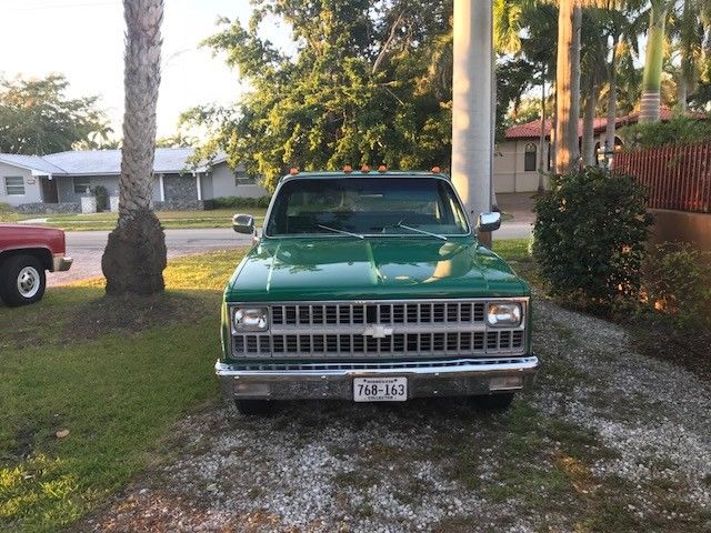 1981 Chevrolet Other Pickups