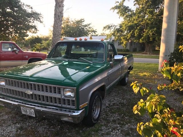 1981 Chevrolet Other Pickups