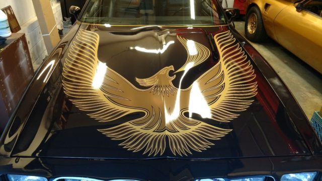 1981 Black Pontiac Trans Am Coupe